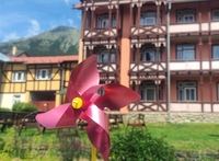 fotografia: Čepková