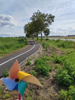 fotografia: Tršová