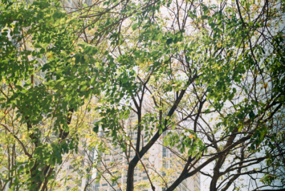 17 miliónov € na vrátenie zelene do našich miest