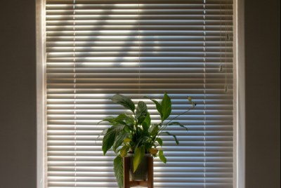 Ako mať čisté ovzdušie v domácnosti - kvalita ovzdušia v našich domácnostiach