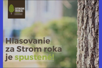 Výzva na hlasovanie